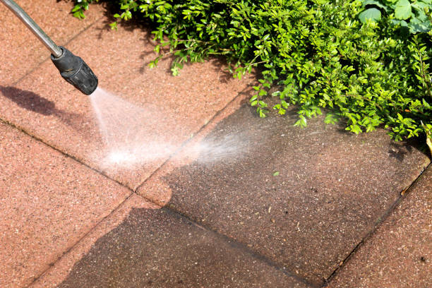 Best Roof Pressure Washing  in Marathon, FL